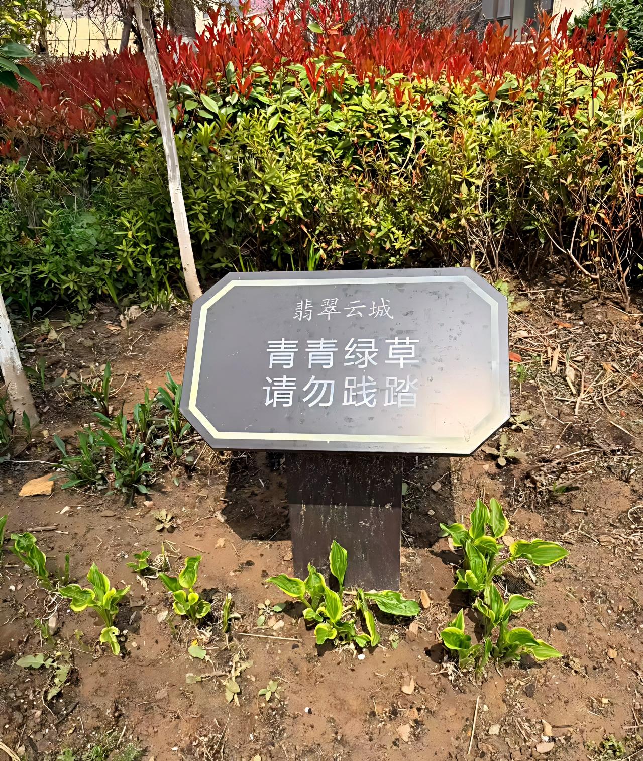 花草牌